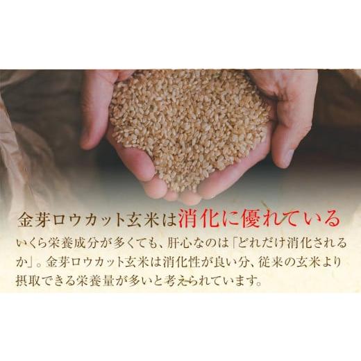 ふるさと納税 和歌山県 和歌山市 金芽ロウカット玄米(無洗米) 4kg(2kg×2袋)