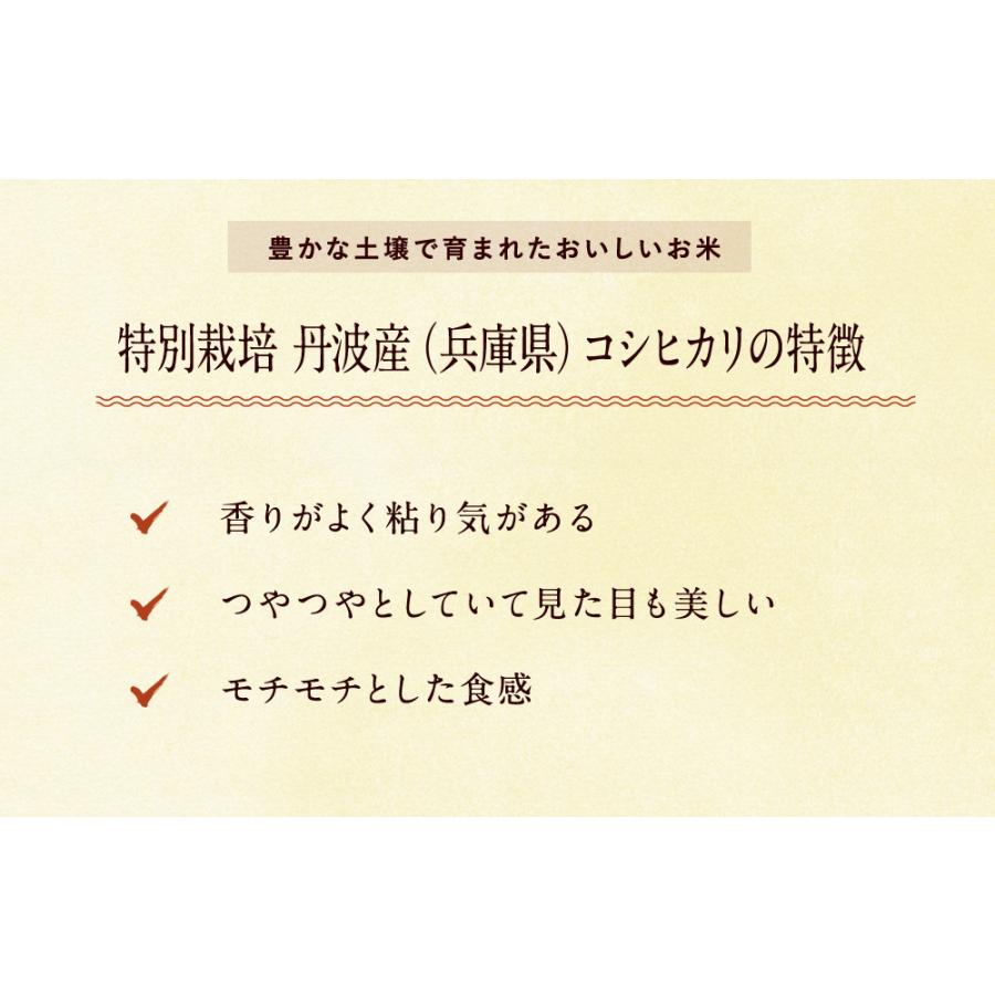 新米 特別栽培  丹波産（兵庫県）コシヒカリ20kg（5kg×4袋）  送料無料 令和5年産 特別栽培 精米 お米 （北海道・沖縄別途送料）（配達日・時間指定は不可）