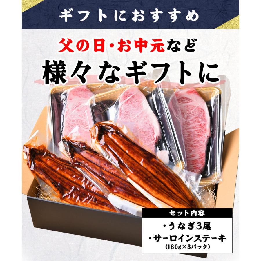 和牛 鰻 セット特大 うなぎ 蒲焼き 3尾とサーロインステーキ540ｇ 冷凍食品