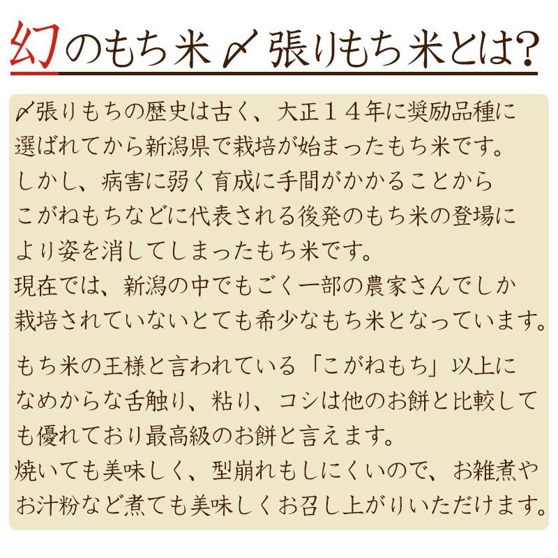 最高級のお餅 紅穂糯 360g×2パック 切り餅 化粧箱入 〆張り餅米100%使用 杵つき餅