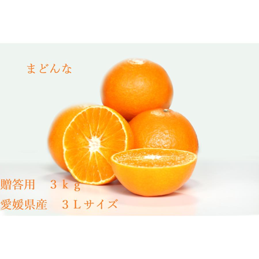 まどんな おいしい みかん 愛媛 中島産 フルーツ 柑橘 贈答用 3kg 3L 送料別