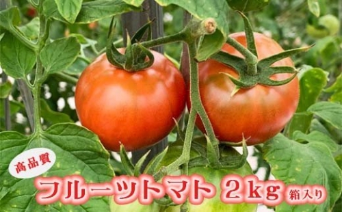 夜須町産フルーツトマト 2kg箱入り トマト フルーツトマト 野菜 贈り物 箱入り ga-0005