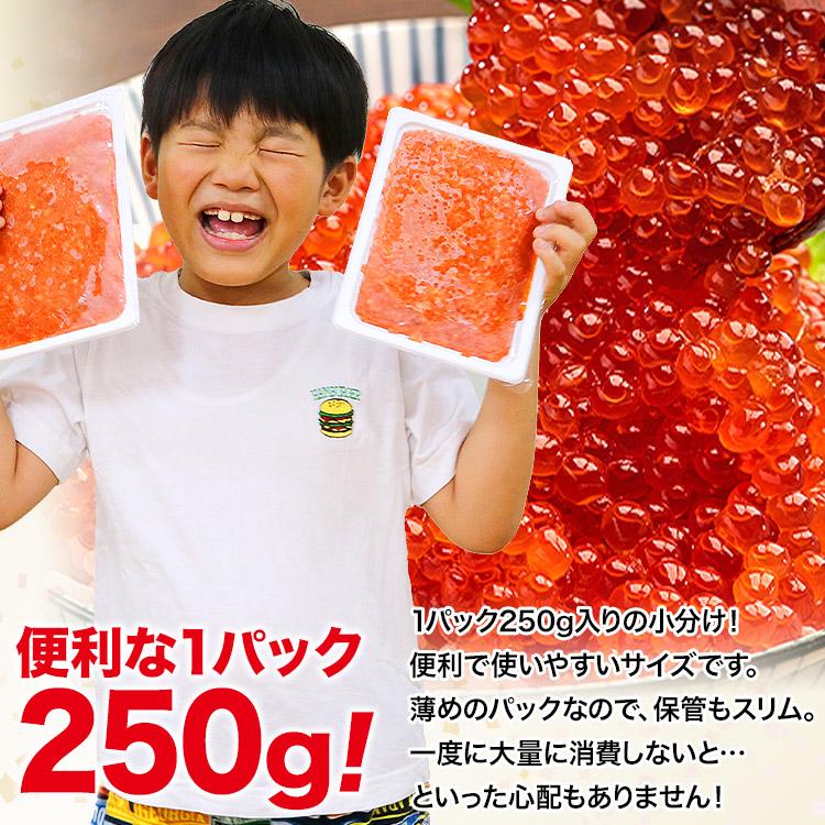 いくら イクラ 紅鮭 醤油漬け 500g (250g×2P) 優良配送 送料無料 さけ グルメ 食品 お歳暮 ギフト 10%クーポン