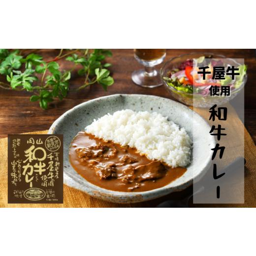 ふるさと納税 岡山県 新見市 千屋牛を使ったレトルト 牛丼・カレー 各4食 2種8食