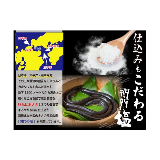 ふるさと納税 福岡県 北九州市 高級鰻 蒲焼（250g前後）×2尾 合計500g前後 タレボトル1本 山椒小袋 うなぎ 蒲焼き…