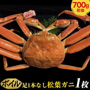 足1本なし松葉ガニ　中1枚（700g前後） ※2023年11月～2024年3月に順次発送予定《かに カニ 蟹》