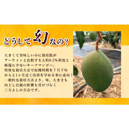 ふるさと納税 沖縄県 石垣市 《2024年6月下旬〜7月下旬発送》最高糖度23度！？ 完熟！7Lサイズ お得な幻のキーツマンゴー【沖縄 石垣島 石垣 八重山…