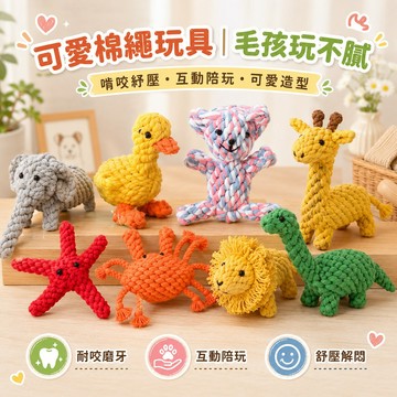 現貨 棉繩玩具 寵物耐咬玩具 編織玩具 潔牙玩具 互動玩具 寵物玩具 狗玩具 貓玩具 造型玩具 犬貓通用