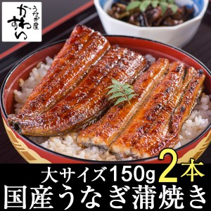 国産 うなぎ 蒲焼き 大サイズ150g×2本 送料無料 山椒別売り ウナギ 鰻 冷凍 お取り寄せ グルメ 贅沢 自宅用 ギフト 贈り物 結婚祝い