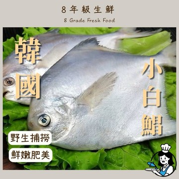 白鯧 小白鯧 250克 2至4隻 年菜 魚 全家799免運 【8年級生鮮】