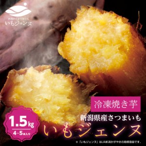 さつまいも さつま芋 いもジェンヌ 芋ジェンヌ 送料無料 新潟県産 1.5kg 4～5本 長期熟成 焼き芋 いも