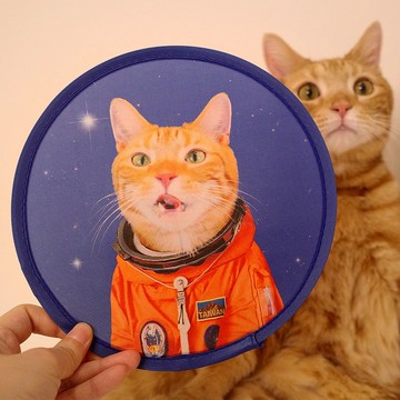 宇宙貓咪 - 品牌摺疊扇 手扇 折疊扇 飛盤扇