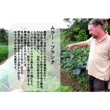 ふるさと納税 季節の野菜詰め合わせ（5〜6種）と平飼い卵セット！農薬不使用だから安心安全！ 島根県海士町