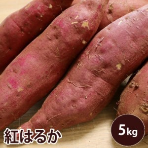 紅はるか 5キロ　Mサイズ　約20本 サツマイモ さつまいも 薩摩芋