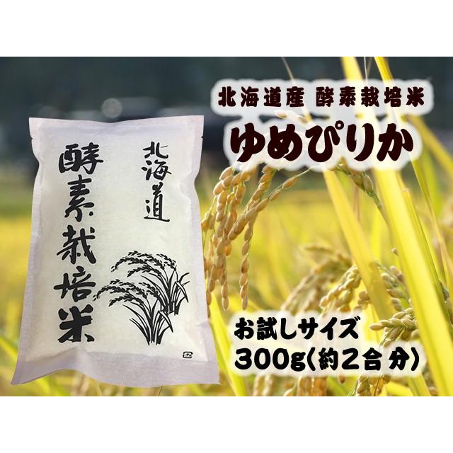 令和5年度産新米　ゆめぴりか 300g（2合）送料無料  美味しいお米ポイント消化 北海道こだわり米