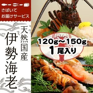 捌いて発送　国産天然　伊勢エビ　1尾　120ｇ～150ｇ[伊勢海老]