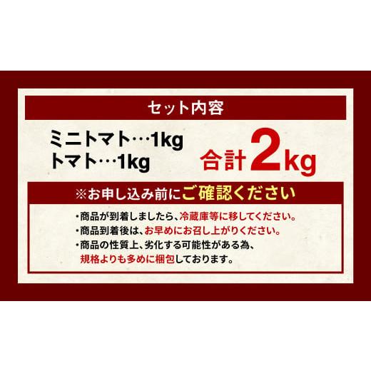 ふるさと納税 熊本県 八代市  熊本県産トマト 1kg ＆ ミニトマト 1kg 合計2kg はなまるお ＆ はなまるこ