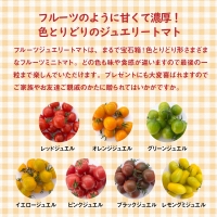 まるでトマトの宝石箱！フルーツジュエリートマト　1.8kg　H004-117