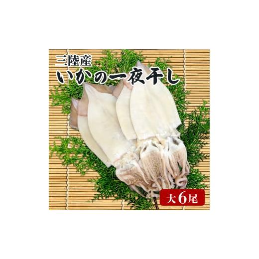 ふるさと納税 岩手県 大船渡市 イカ 一夜干し 大 6尾