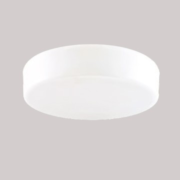 E27X2 壓克力造型吸頂燈 F37-21-92575