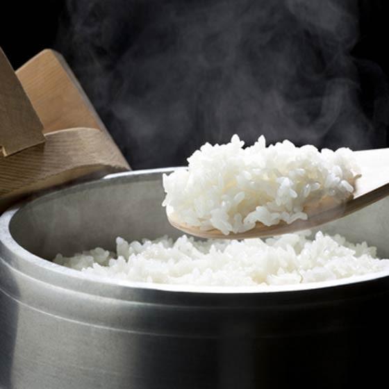 コシヒカリ 米2kg 新米 セール 送料無 丹波 令和5年産 農薬9割減 化学肥料不使用 特別栽培米 白米