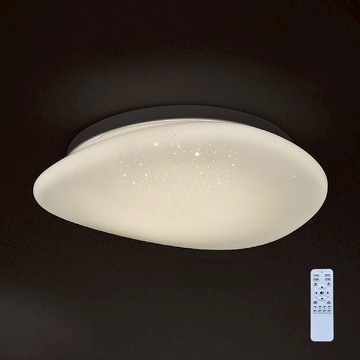 96W 遙控吸頂燈 L01-2451G