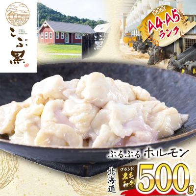 ふるさと納税 新ひだか町 北海道産 黒毛和牛 こぶ黒 ぷるぷるホルモン 500g