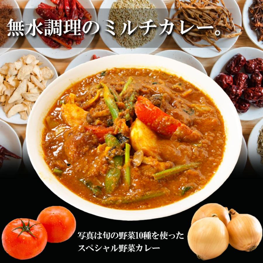 インドカレー ミルチ 辛さを選べる インディアンスペシャル・チキンカレー 無水調理 冷凍 カレー 北海道 札幌の老舗インドカレー専門店