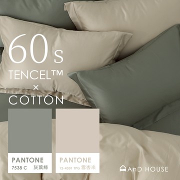 AnD House 天絲棉60支 灰葉綠 ✖ 雪杏米 雙色配-床包被套組｜安庭家居 素色 混搭