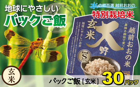 地球にやさしいパックご飯 30食入り　減農薬・減化学肥料 「特別栽培米」－地球にやさしいお米－[B-003009]