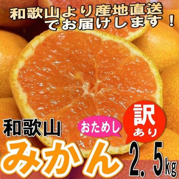 和歌山県産 訳あり みかん ミカン 2.5kg (傷あり サイズ不揃い ご自宅用) ＊１０月中旬以降より順次発送