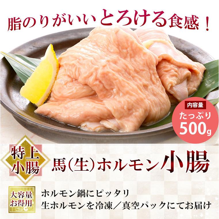 馬刺し 肉 熊本 国産 特上 ホルモン 小腸 約500g 馬肉 ギフト 食べ物 おつまみ 熊本馬刺し専門店 お中元 2023