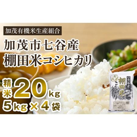 ふるさと納税 新潟県加茂市 七谷産 棚田米コシヒカリ 精米20kg（5kg×4）白米 加茂有機米生産組合 コシヒカリ 新潟県産コ.. 新潟県加茂市