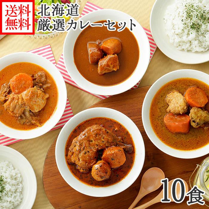 お歳暮 北海道 カレー スープカレー セット 10食(北国チキンレッグ 南家 天竺 ココナッツ ランダム各2食)業務用 カレー レトルト 食品