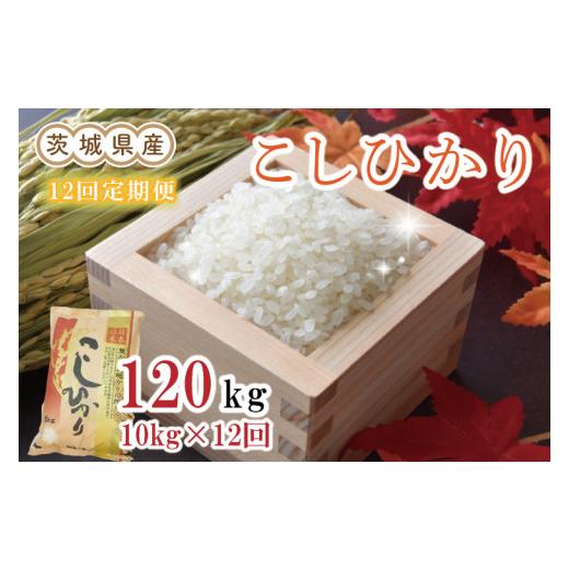 ふるさと納税 茨城県 水戸市 EN-9　茨城県産コシヒカリ計120kg（10kg×12回）（令和5年産）※離島への配送不可