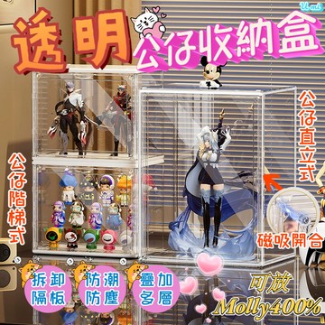 💖台灣現貨💖公仔展示盒 泡泡瑪特展示盒 labubu展示盒 400%展示盒 透明公仔盒 直立公仔盒 壓克力收納盒 公仔盒