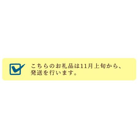 ふるさと納税 鹿児島紀行ギフト ≪H-610R≫特選肩ロース・上級ロースハムなど6種詰合せセット！ 鹿児島県いちき串木野市