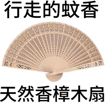 甄選好物🐑【便攜䮠蚊扇】中國説好樟木折疊䮠蚊扇子防蟲木扇樟腦古風文玩香木鏤空隨身折扇 H3NP