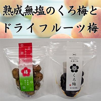 ふるさと納税 若狭町 とてもすっぱい、熟成無塩の「くろ梅」と「ドライフルーツ梅」の合計2袋セット