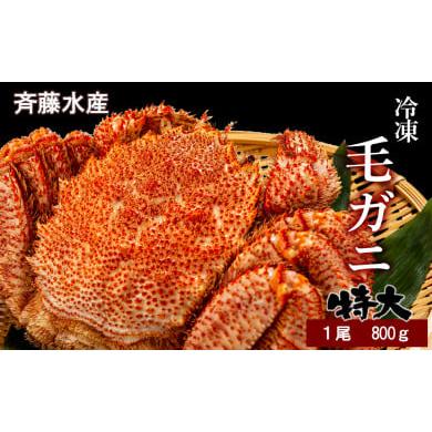 ふるさと納税 北海道 白老町 特大サイズ！冷凍毛がに約800g×1尾