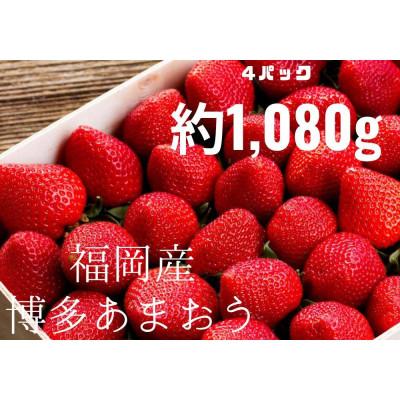 ふるさと納税 久留米市 農家直送 朝採り新鮮いちご約270g×4パック(久留米市)