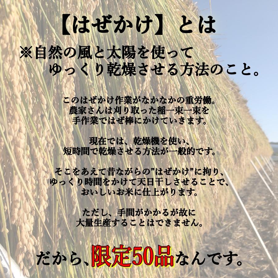 はぜかけ玄米 10kg 令和4年 長野県産 コシヒカリ 農家直送