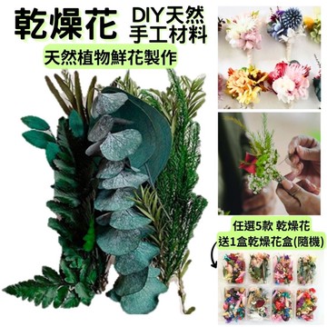 【A-ONE】乾燥花 永生花 壓花材料包DIY香薰蠟燭 手作授課 活動團扇材料包 相框乾燥花 手作花 A01 翠綠大地_廠商直送