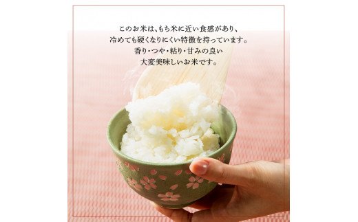 特別栽培米ぴかまる白米 20kg