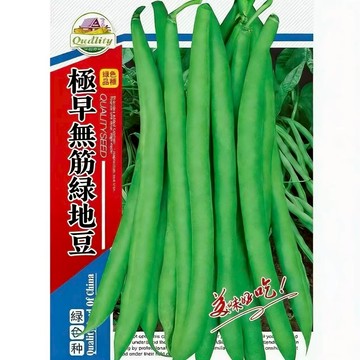 【台灣人最愛】原包裝無筋綠地豆種子｜肉厚無絲 鮮甜爽脆｜陽台盆栽 輕鬆採收｜煮湯炒菜都對味｜附簡易圖解種植教程｜現貨秒發
