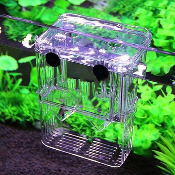 亞克力產卵房魚缸隔離盒孔雀魚繁殖盒斑馬小魚孵化器鳳尾幼魚懸浮