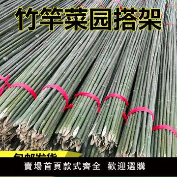 【滿500出貨】菜園竹竿種菜黃瓜爬藤支架彩旗桿小竹子棍豆角架菜園搭架柵欄裝飾【甄選優品】