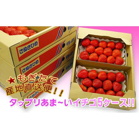 ふるさと納税 香川県オリジナル品種！さぬき姫いちご10パック 香川県坂出市