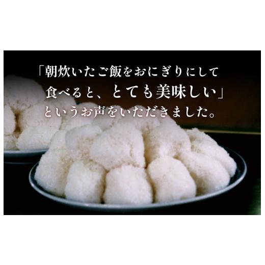 ふるさと納税 富山県 氷見市 令和5年産 富山県産 コシヒカリ ひみの舞 10kg  富山県 氷見市 コシヒカリ 令和5年度 こしひかり