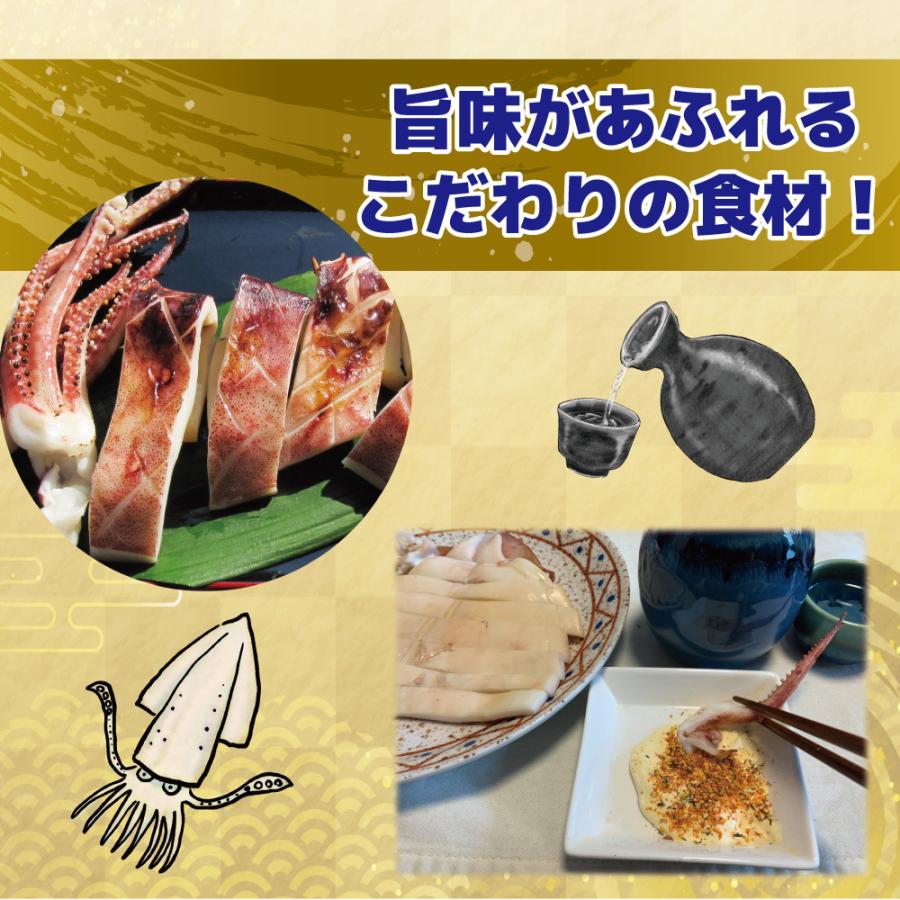 いか一夜干し２尾入り 2パック お徳用 大型イカ ふっくら肉厚 職人技 旨味あふれる 海鮮